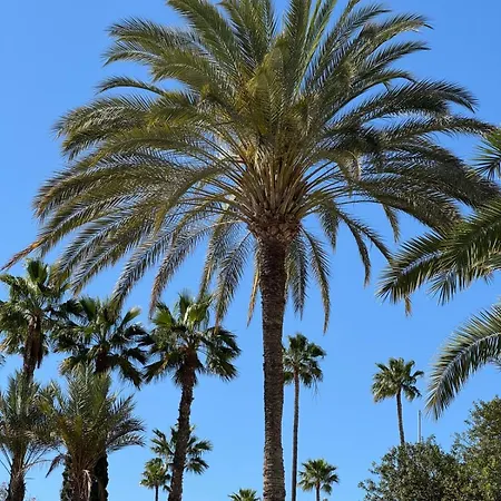 Cumana Ii 505 Apartament