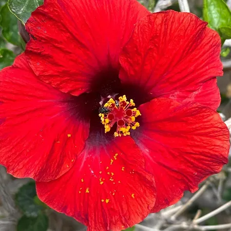 Cumana Ii 505 Apartament Puerto Rico (Gran Canaria)